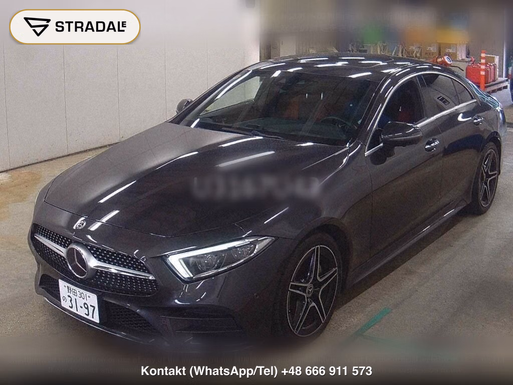 MERCEDES BENZ CLS-CLASS 4WD OTHERS, miniaturka 5