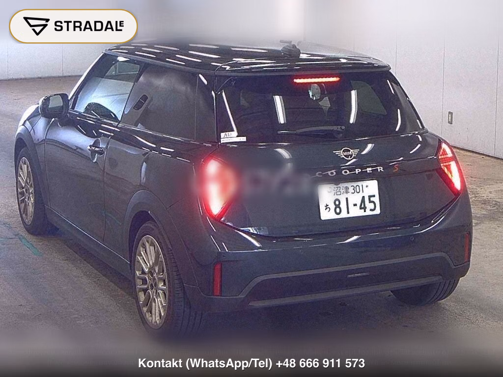 MINI MINI 3D COOPER S, miniaturka 3