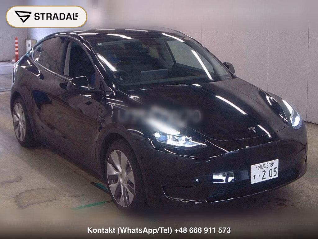 TESLA MODEL Y RWD, miniaturka 2