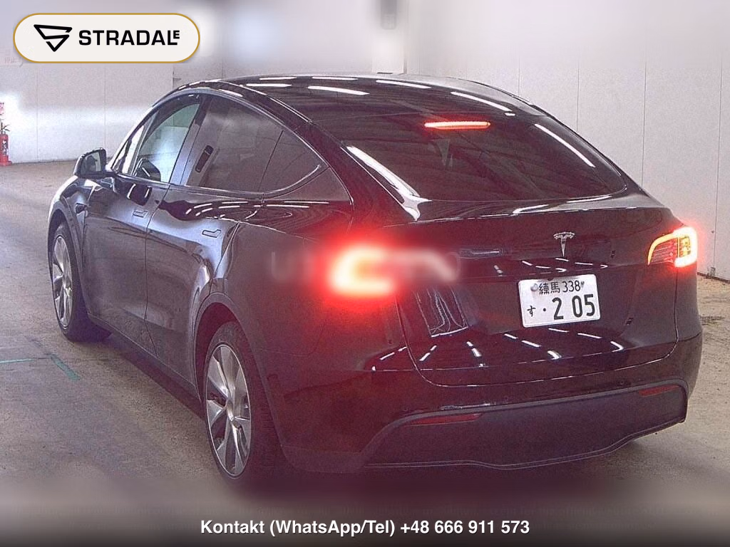 TESLA MODEL Y RWD, miniaturka 3