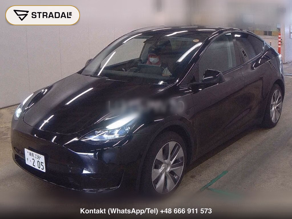 TESLA MODEL Y RWD, miniaturka 5