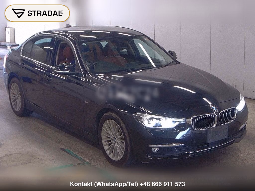 BMW 3 SERIES 4D 320I LUXURY, miniaturka 2