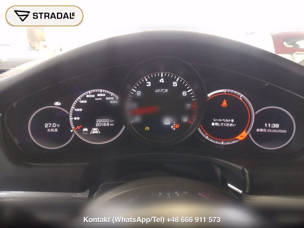 PORSCHE PANAMERA 5D 4WD GTS, miniaturka 7