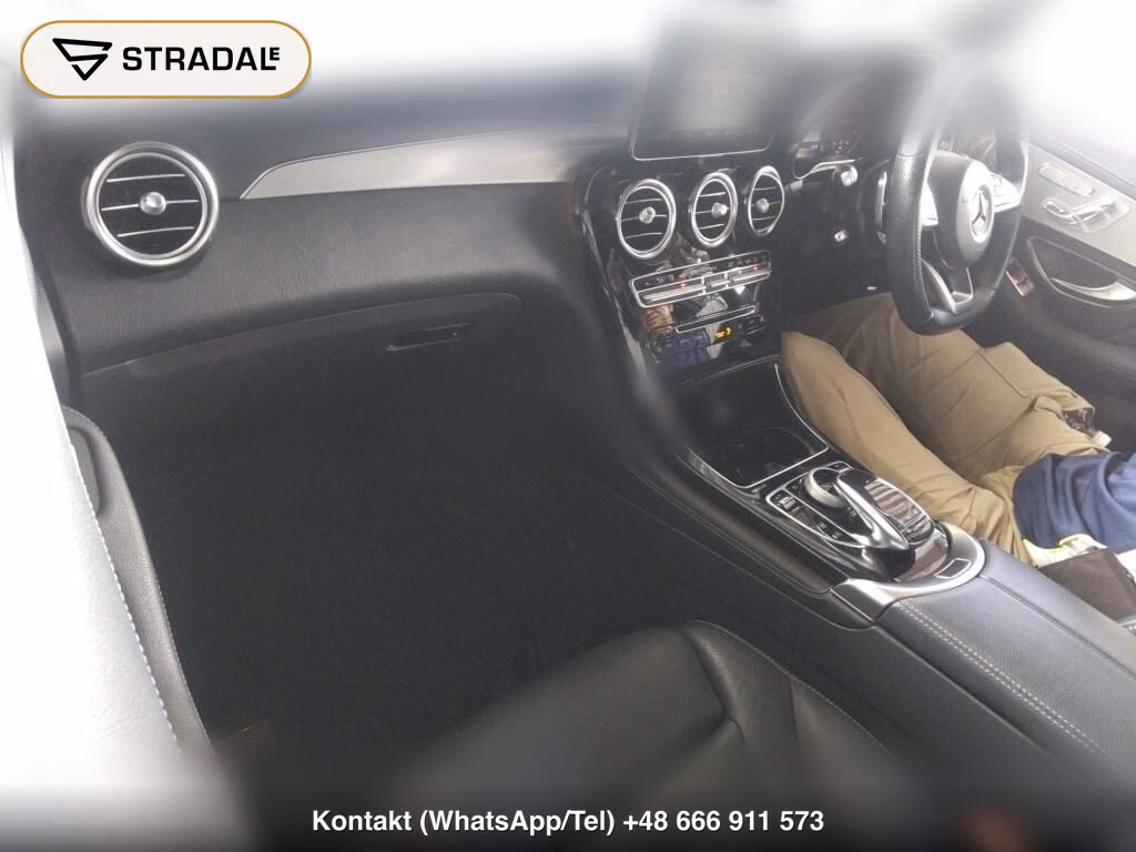 MERCEDES BENZ GLC-CLASS 4WD GLC250 4MATIC SPORTS (LEATHER VERSION), miniaturka 4