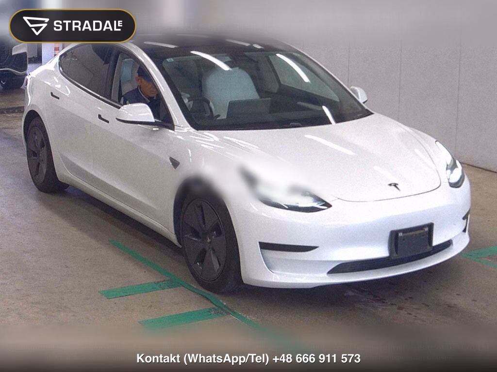 TESLA MODEL 3 STANDARD RANGE PLUS, miniaturka 2