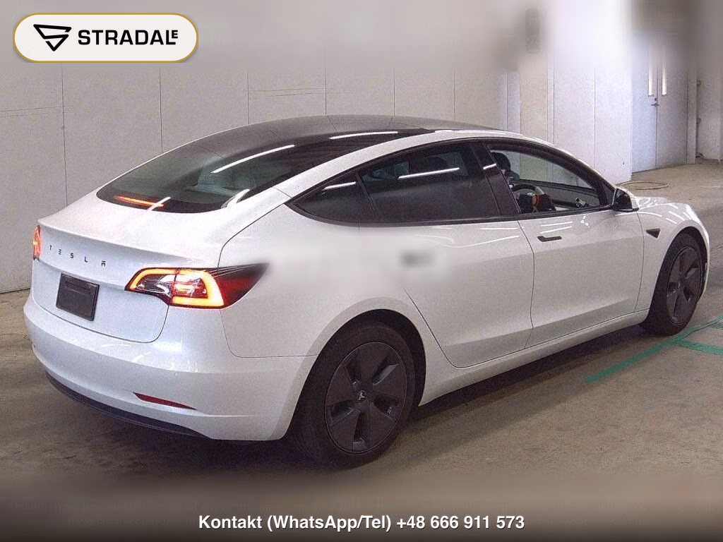 TESLA MODEL 3 STANDARD RANGE PLUS, miniaturka 6