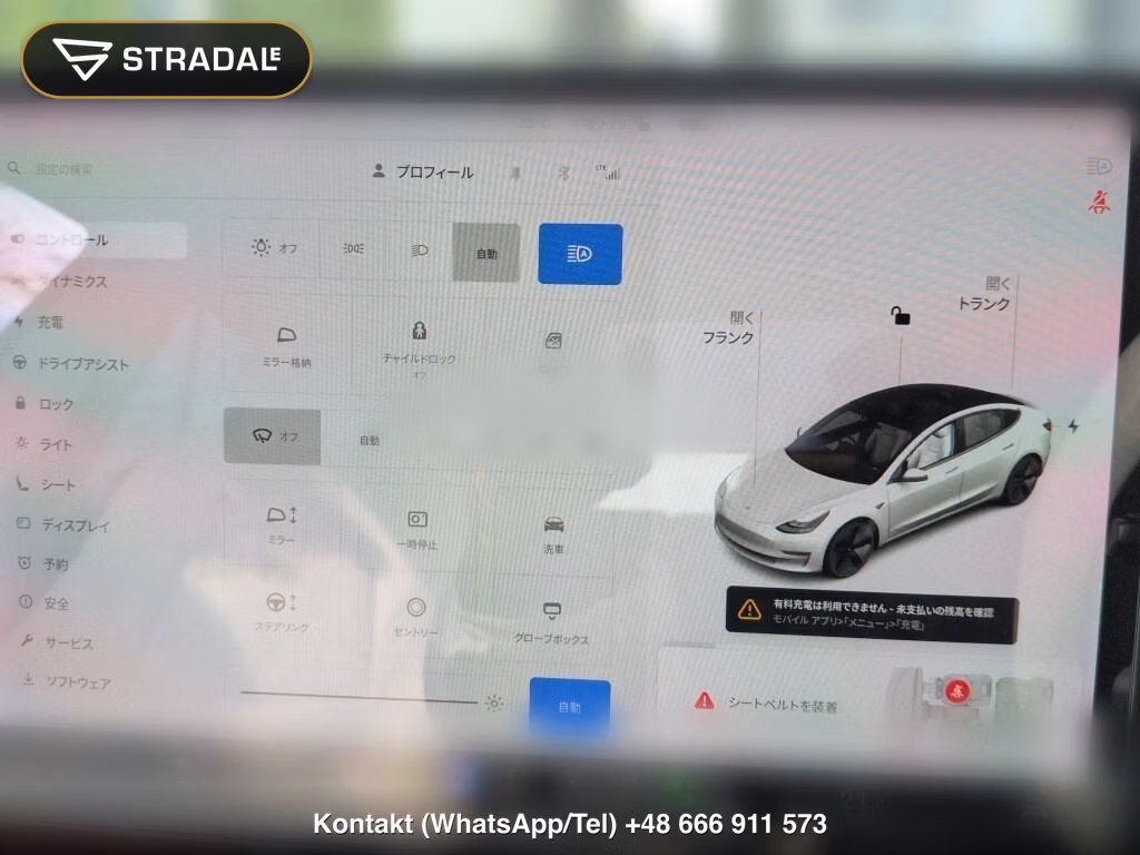 TESLA MODEL 3 STANDARD RANGE PLUS, miniaturka 7