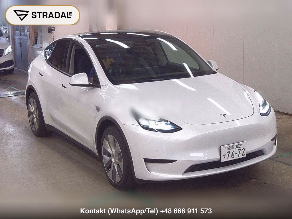 TESLA MODEL Y RWD, miniaturka 2