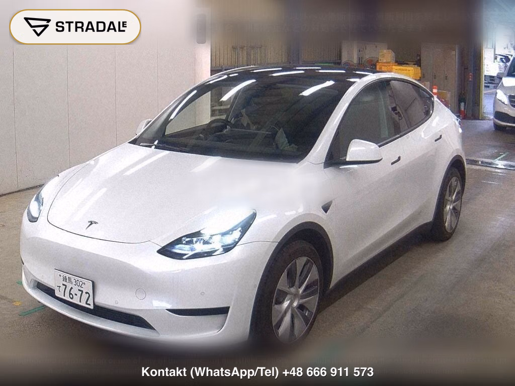 TESLA MODEL Y RWD, miniaturka 5
