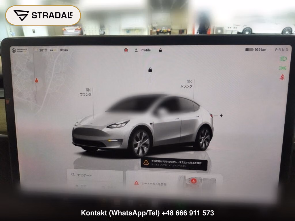 TESLA MODEL Y RWD, miniaturka 7