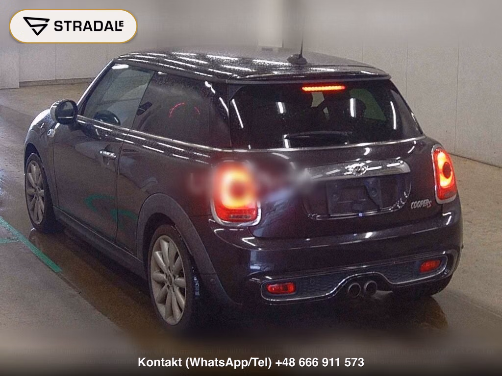 MINI MINI 3D COOPER S, miniaturka 3
