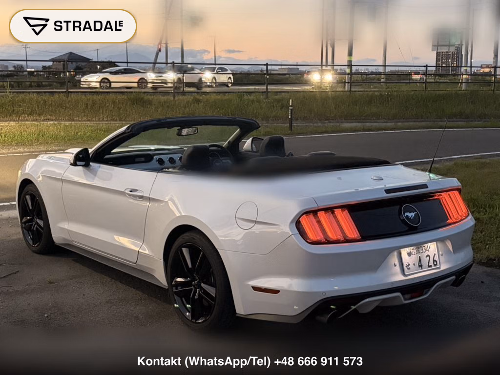FORD MUSTANG OP ECO BOOST PREMIUM CONVERTIBLE, miniaturka 11
