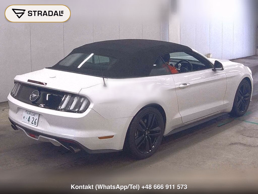 FORD MUSTANG OP ECO BOOST PREMIUM CONVERTIBLE, miniaturka 6