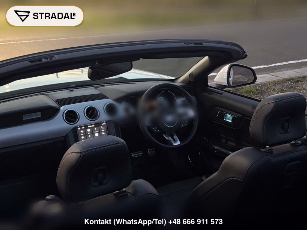 FORD MUSTANG OP ECO BOOST PREMIUM CONVERTIBLE, miniaturka 8