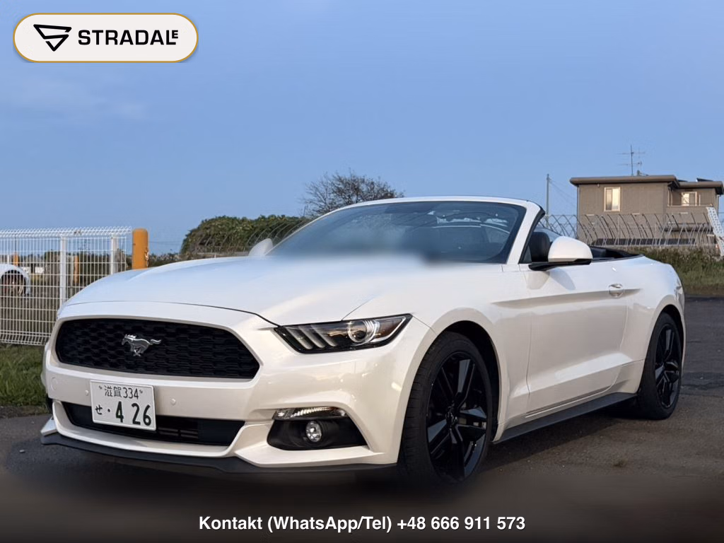 FORD MUSTANG OP ECO BOOST PREMIUM CONVERTIBLE, miniaturka 10
