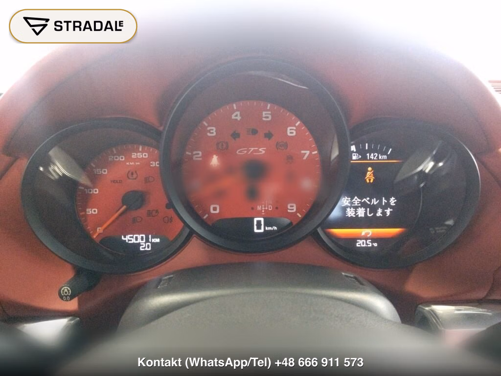 PORSCHE CAYMAN GTS, miniaturka 7