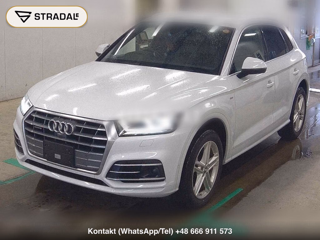 AUDI Q5 4WD 40TDI QUATTRO SPORT S LINE PACKAGE, miniaturka 5
