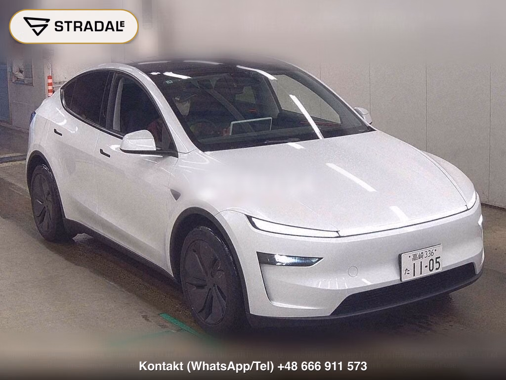 TESLA MODEL Y RWD, miniaturka 2