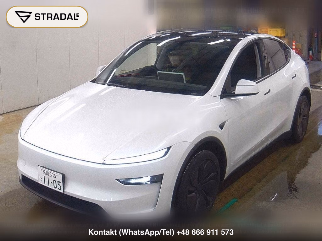 TESLA MODEL Y RWD, miniaturka 5