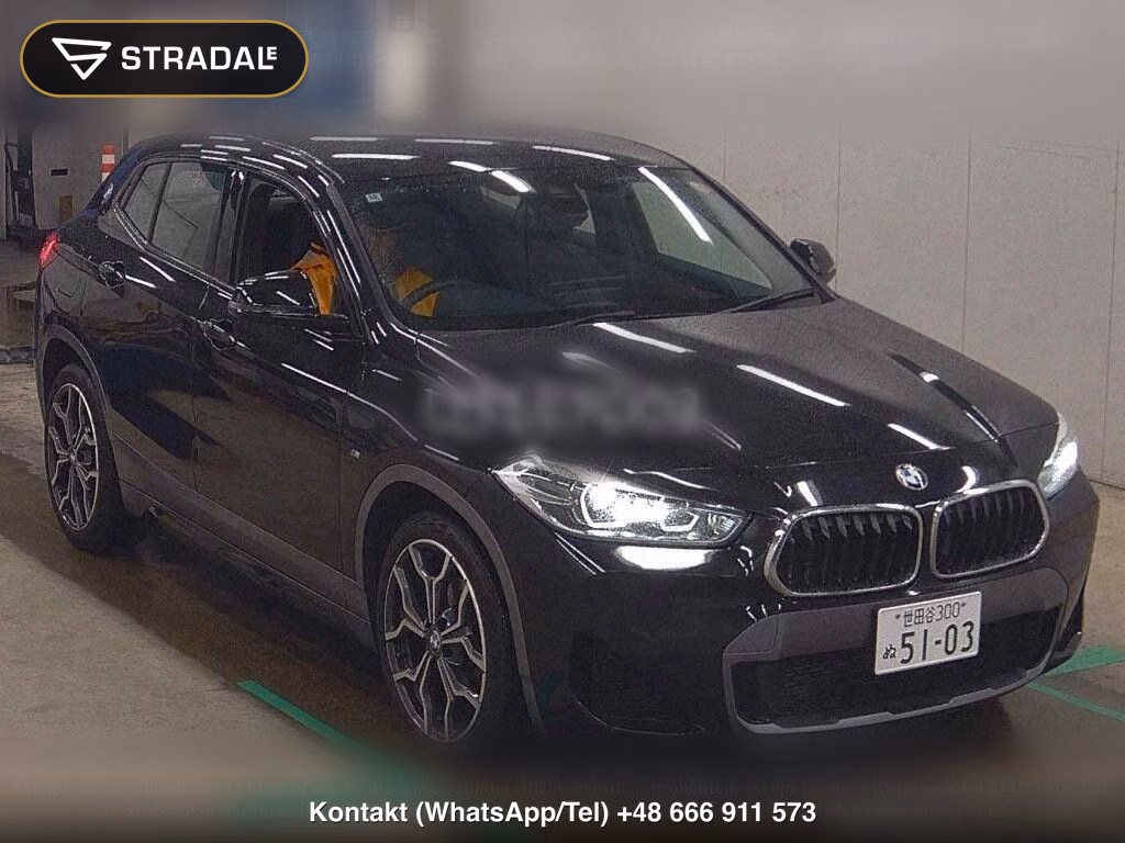 BMW X2 SDRIVE 18I M-SPORT X, miniaturka 2