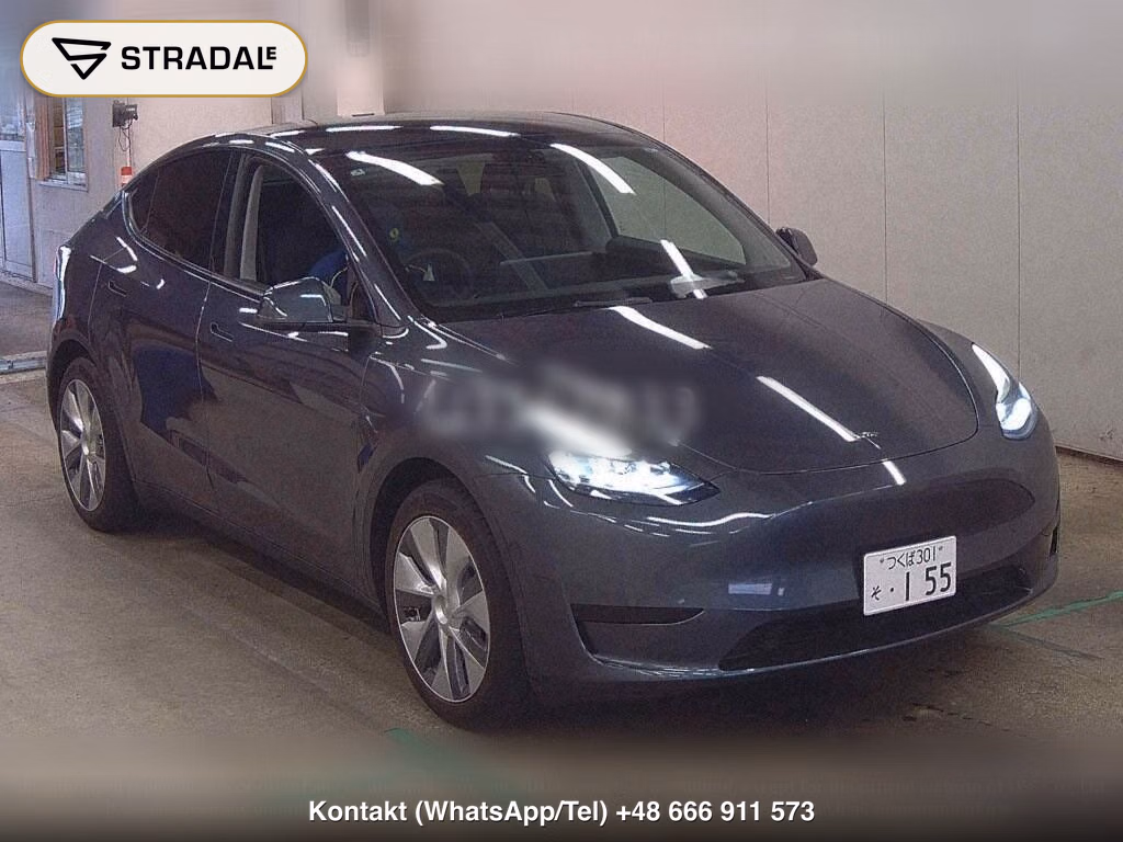 TESLA MODEL Y RWD, miniaturka 2