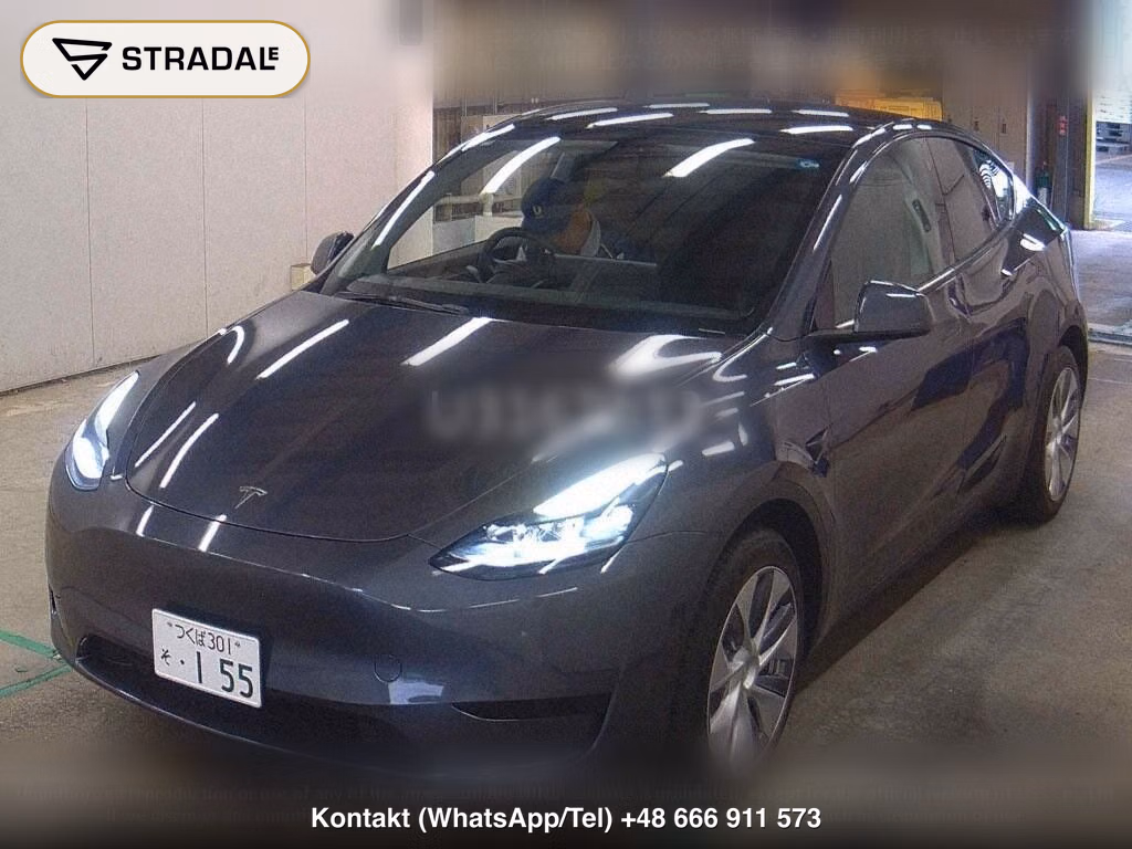 TESLA MODEL Y RWD, miniaturka 5