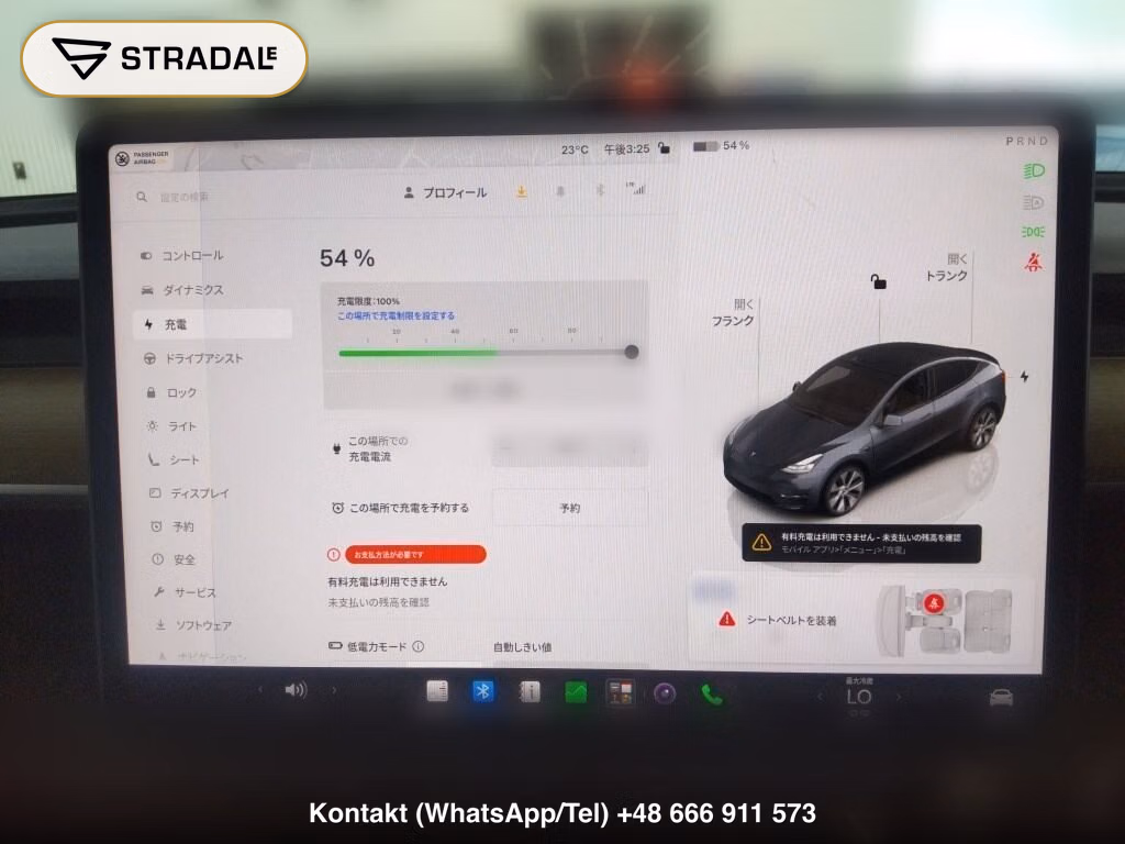 TESLA MODEL Y RWD, miniaturka 7
