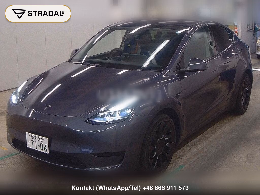 TESLA MODEL Y RWD, miniaturka 5