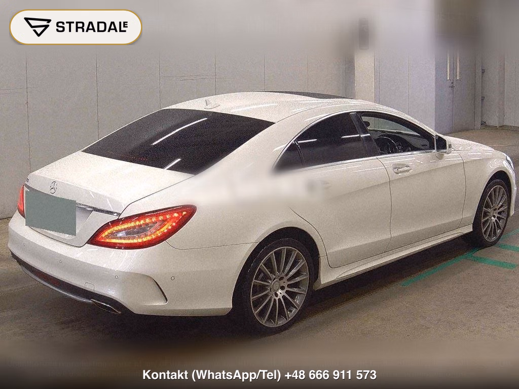 MERCEDES BENZ CLS-CLASS CLS220D AMG LINE, miniaturka 6