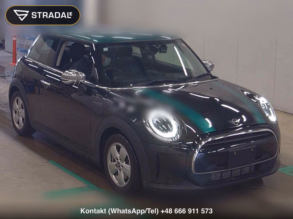 MINI MINI 3D ONE 2023, aukcja z Japonii, zdjęcie 1