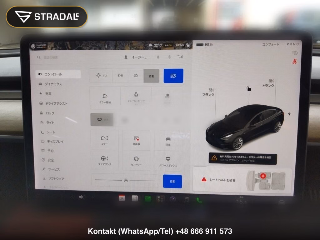 TESLA MODEL 3 4WD LONG RANGE, miniaturka 7