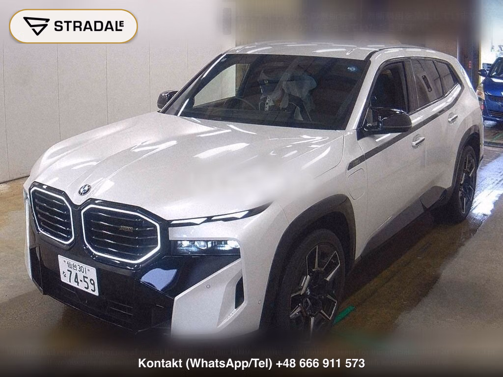 BMW XM 4WD BASE GRADE, miniaturka 5