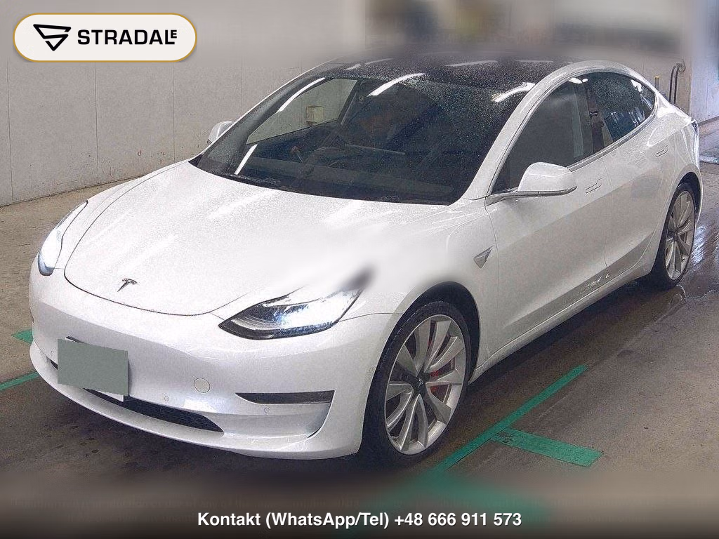 TESLA MODEL 3 4WD PERFOMANCE, miniaturka 5