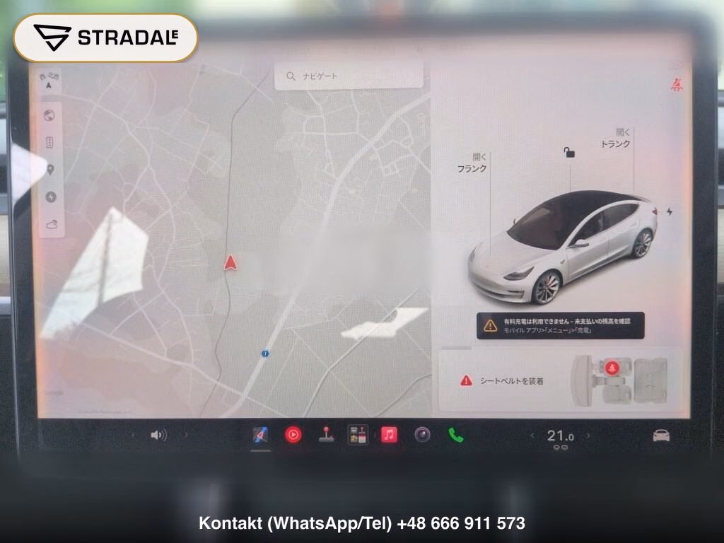 TESLA MODEL 3 4WD PERFOMANCE, miniaturka 7