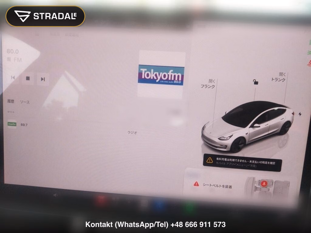 TESLA MODEL 3 BASE GRADE, miniaturka 7