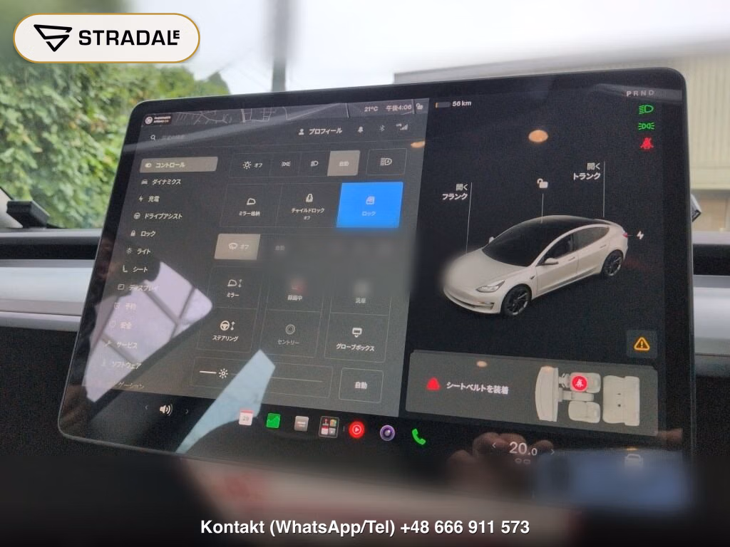 TESLA MODEL 3 4WD LONG RANGE, miniaturka 7
