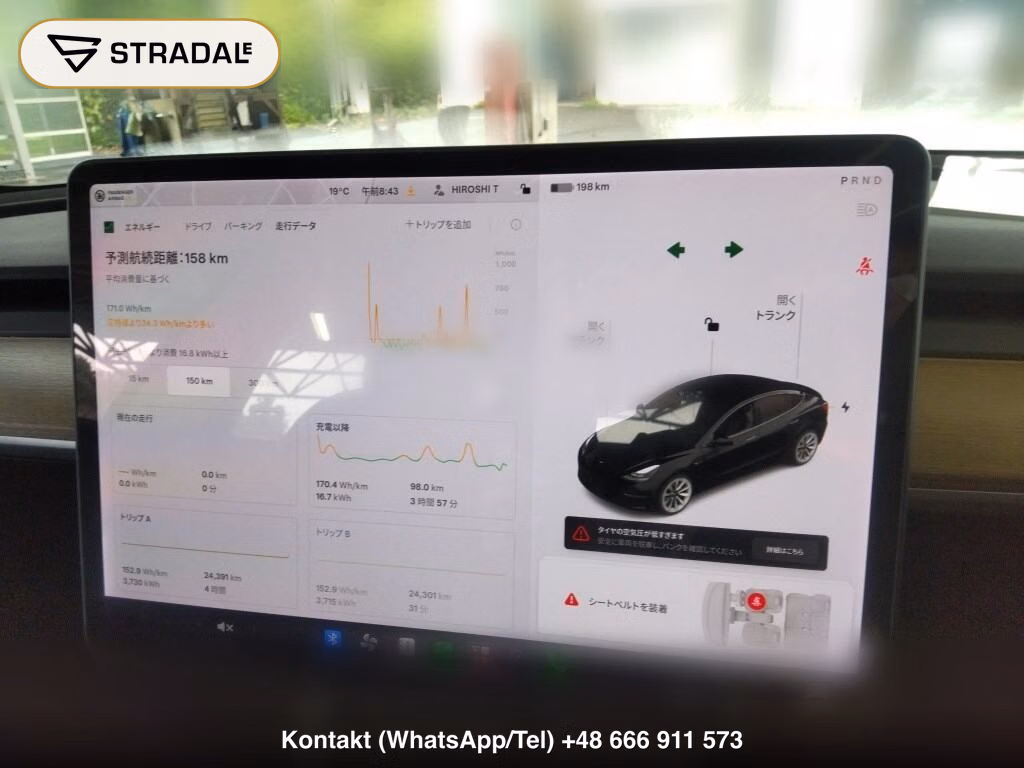 TESLA MODEL 3 4WD LONG RANGE, miniaturka 7
