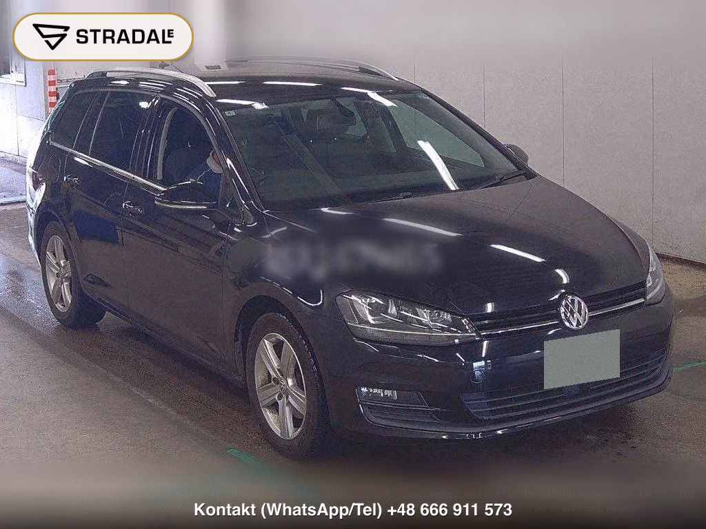 VOLKSWAGEN GOLF VARIANT ANNIVERSARY EDITION, miniaturka 2