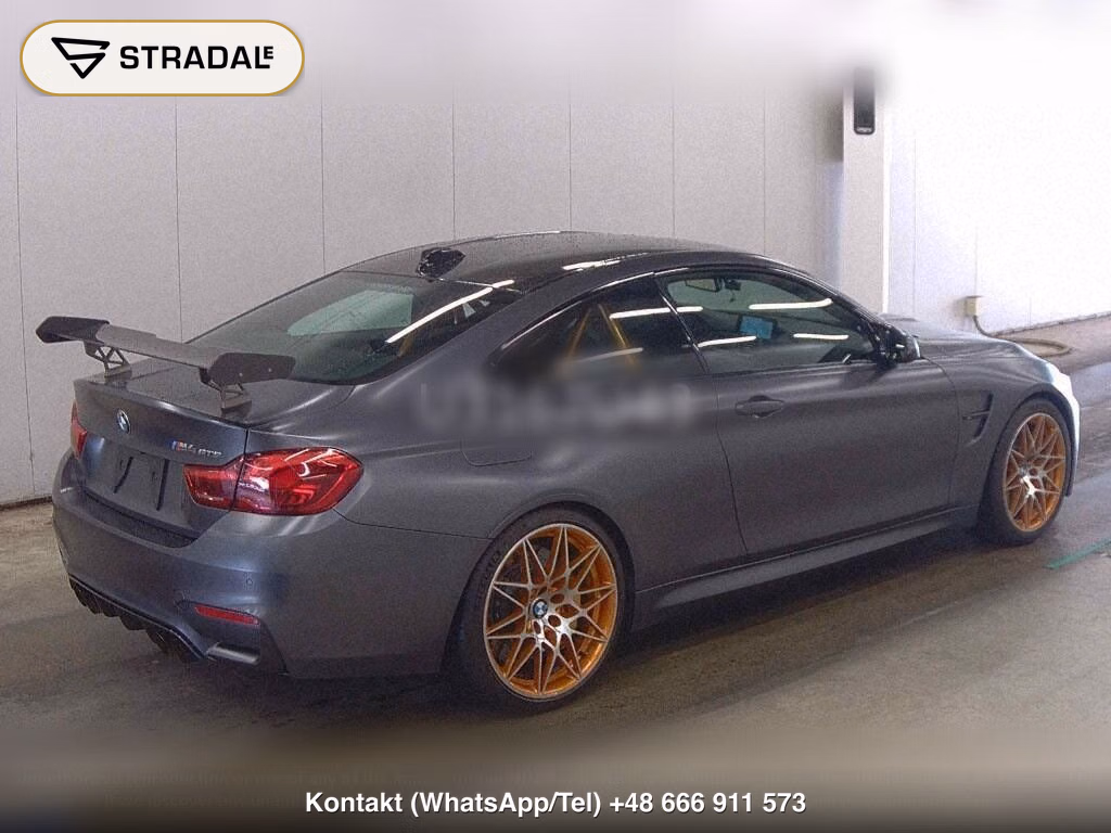 BMW M4 CP M4 GTS, miniaturka 6