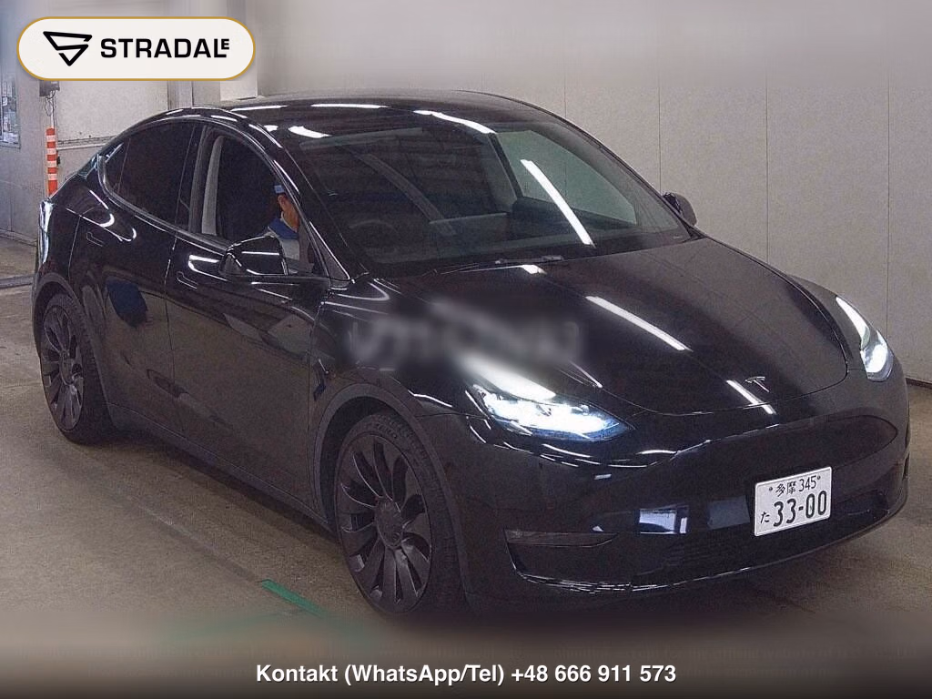 TESLA MODEL Y 4WD PERFORMANCE, miniaturka 2
