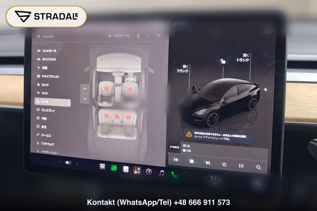 TESLA MODEL Y 4WD PERFORMANCE, miniaturka 12