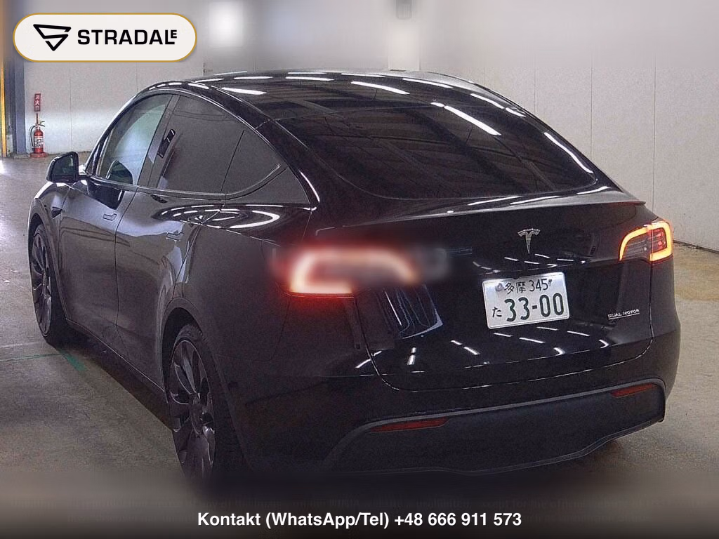 TESLA MODEL Y 4WD PERFORMANCE, miniaturka 3