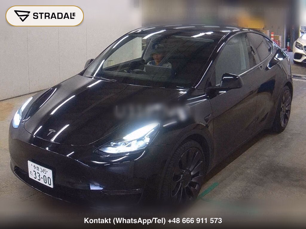 TESLA MODEL Y 4WD PERFORMANCE, miniaturka 5
