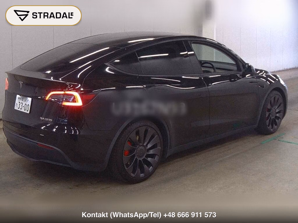 TESLA MODEL Y 4WD PERFORMANCE, miniaturka 6