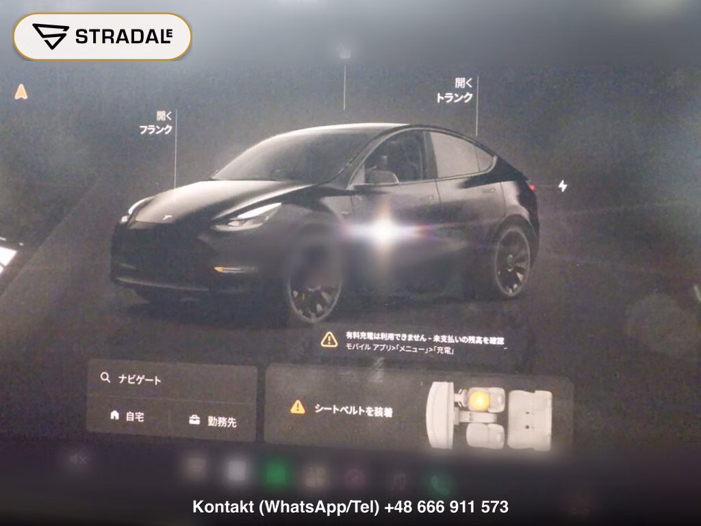 TESLA MODEL Y 4WD PERFORMANCE, miniaturka 7