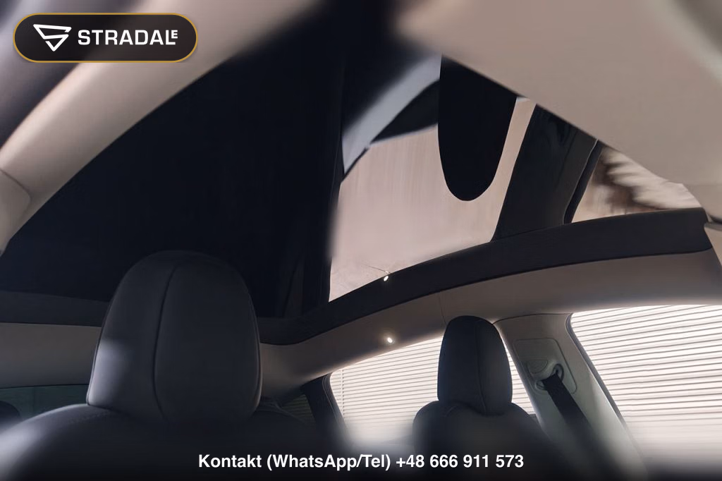 TESLA MODEL Y 4WD PERFORMANCE, miniaturka 10