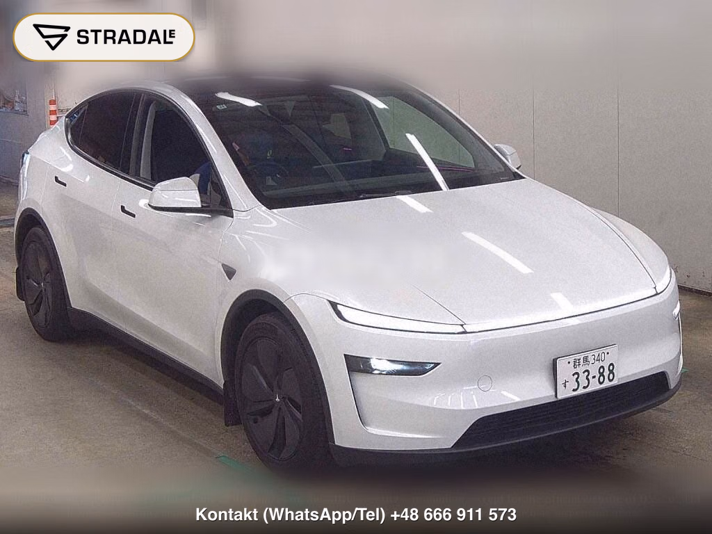 TESLA MODEL Y RWD, miniaturka 2