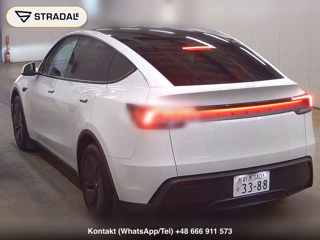 TESLA MODEL Y RWD, miniaturka 3