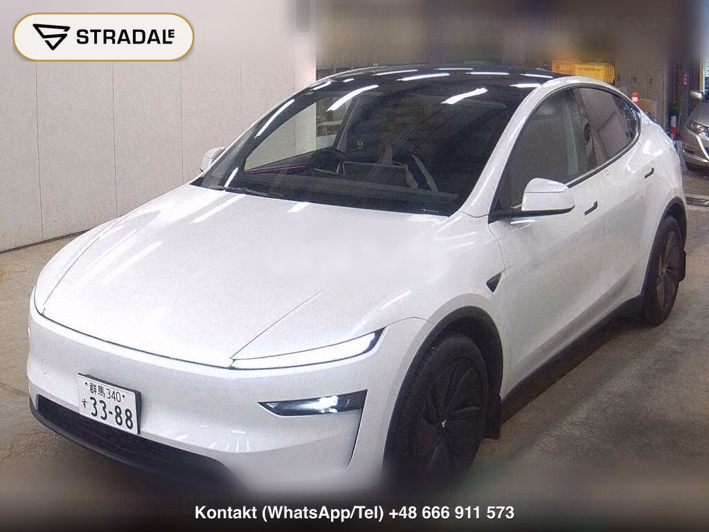 TESLA MODEL Y RWD, miniaturka 5