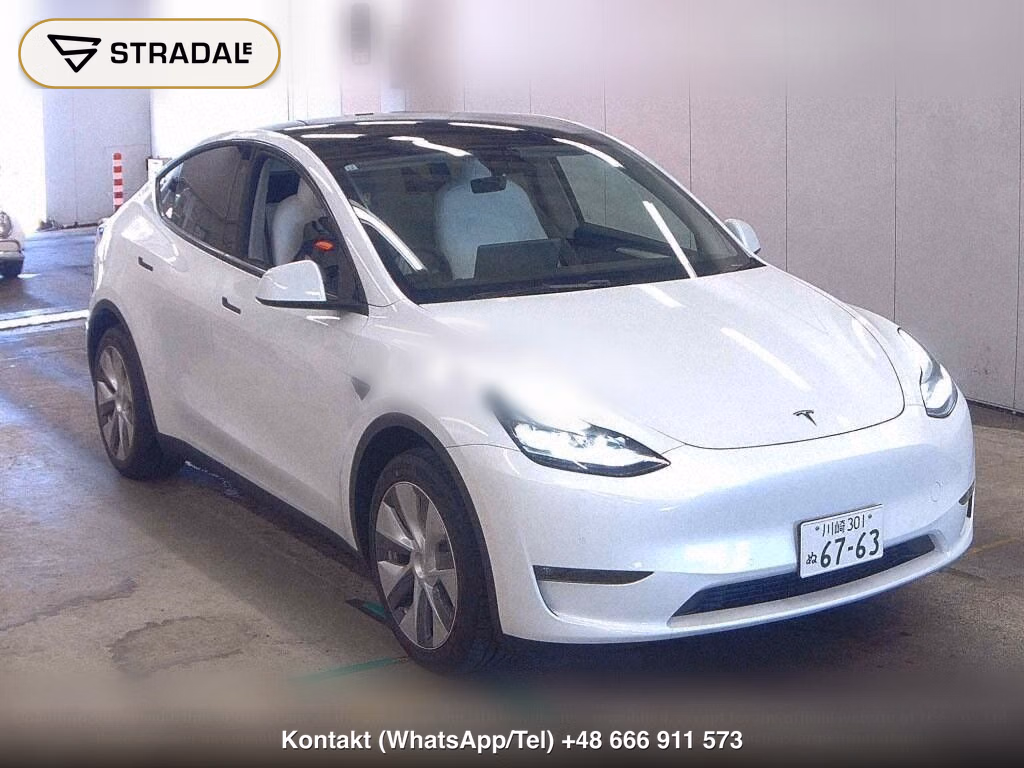 TESLA MODEL Y 4WD LONG RANGE, miniaturka 2